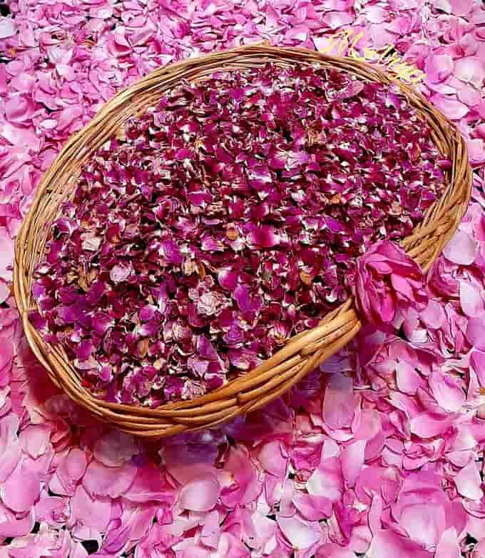 تصویر 2 از گل محمدی خشک شده با حفظ رایحه طبیعی و طراوت رنگی بالا